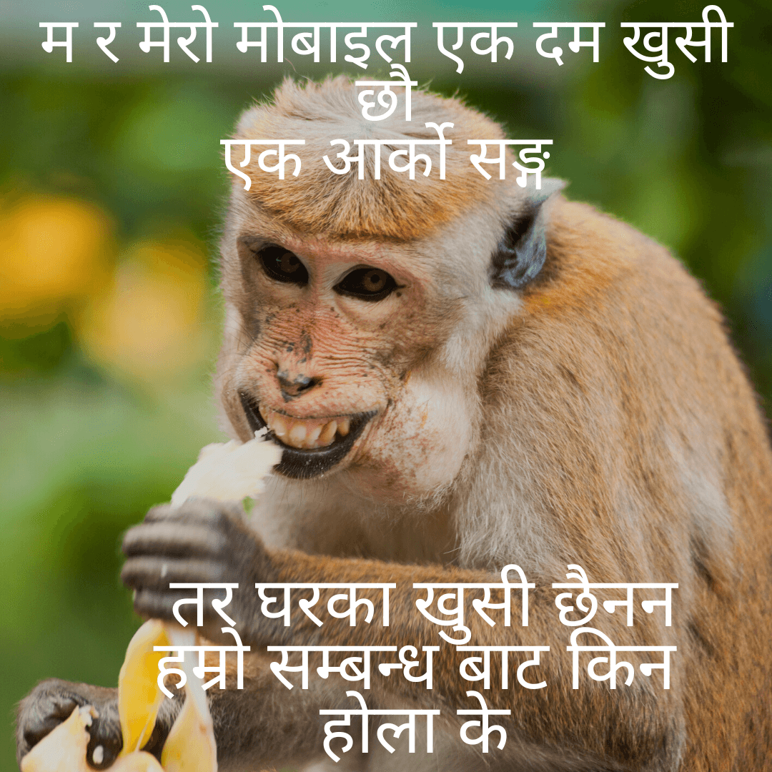 Best Funny caption and Status Quotes in Nepali » Trend In Nepal