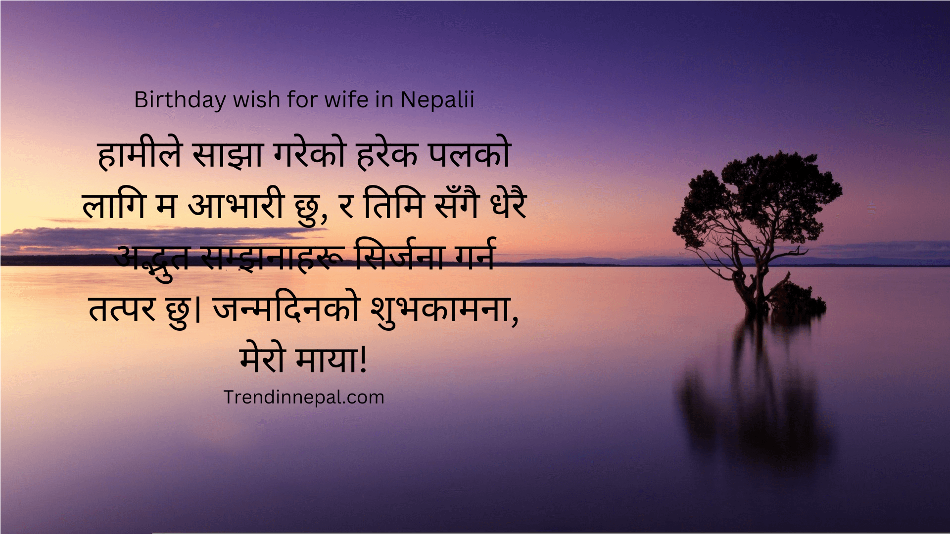 Romantic Nepali Birthday Wishes For Your Wife 2023 Trend In Nepal romantic-nepali-birthday-wishes-for-your-wife-2023-trend-in-nepal